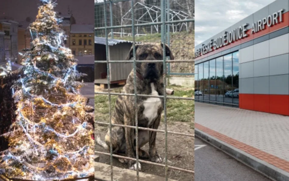 PROSINEC 2023: Nejkrásnější strom stojí v Budějcích, odletů do Turecka bude více