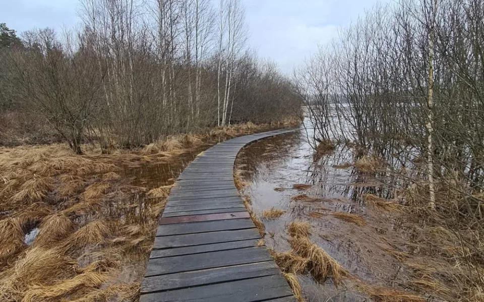 Kvůli dešťům a sněhu se lidé nedostanou na šumavskou stezku kolem Olšiny