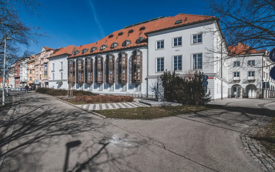 Jihočeské divadlo chystá Zelenkovu komedii Beckham i hru o gumových kachničkách