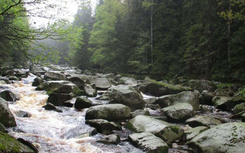 Šumava by se mohla více otevřít turistům, klidová území se zmenší