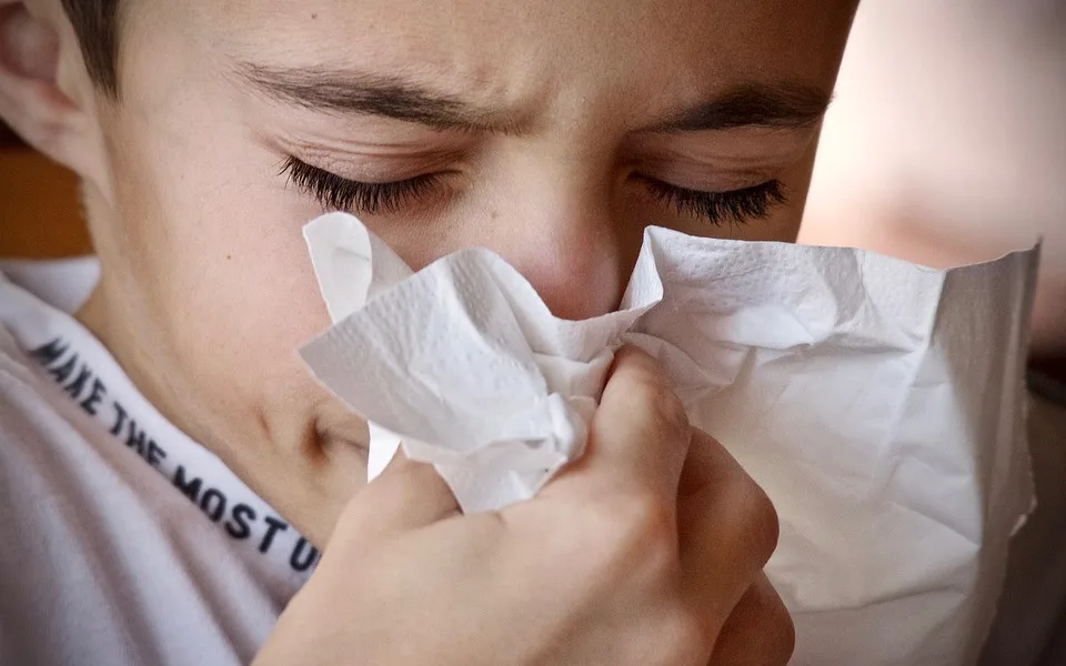 Na jihu Čech po dvou týdnech skončila epidemie akutních respiračních infekcí
