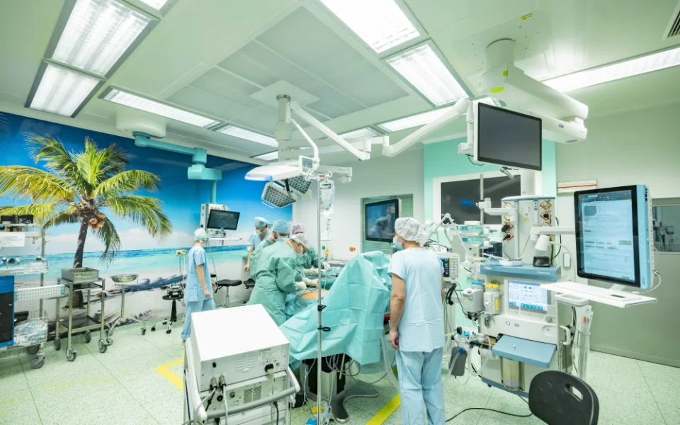 Operační sály nemocnice v Jindřichově Hradci oživují tapety s přírodními motivy