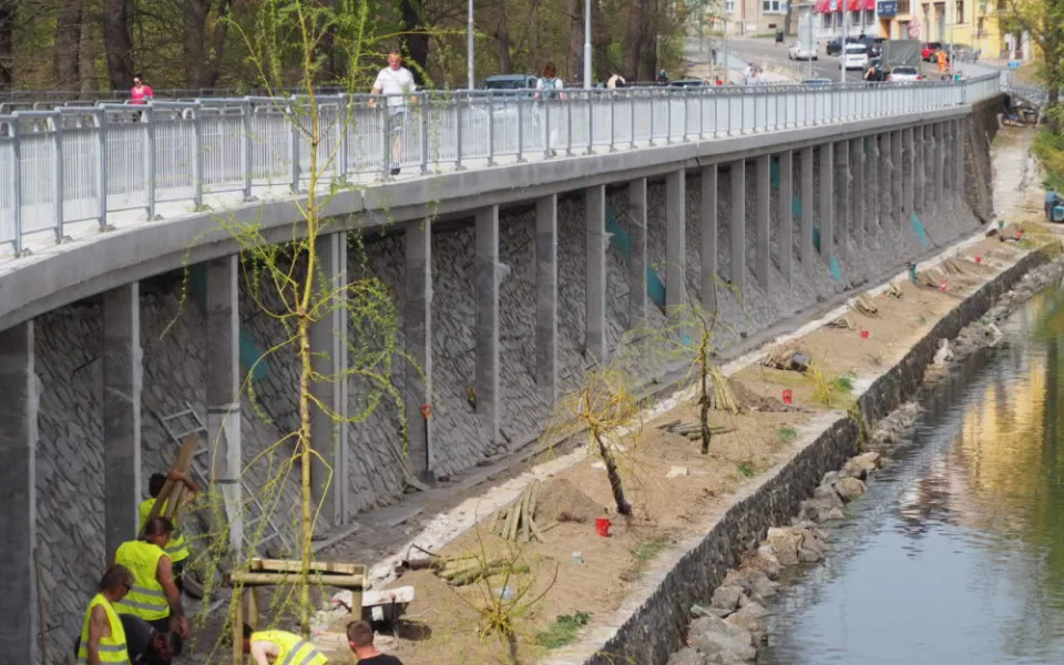 Zahradníci začali sázet nové vrby na hráz táborské vodní nádrže Jordán