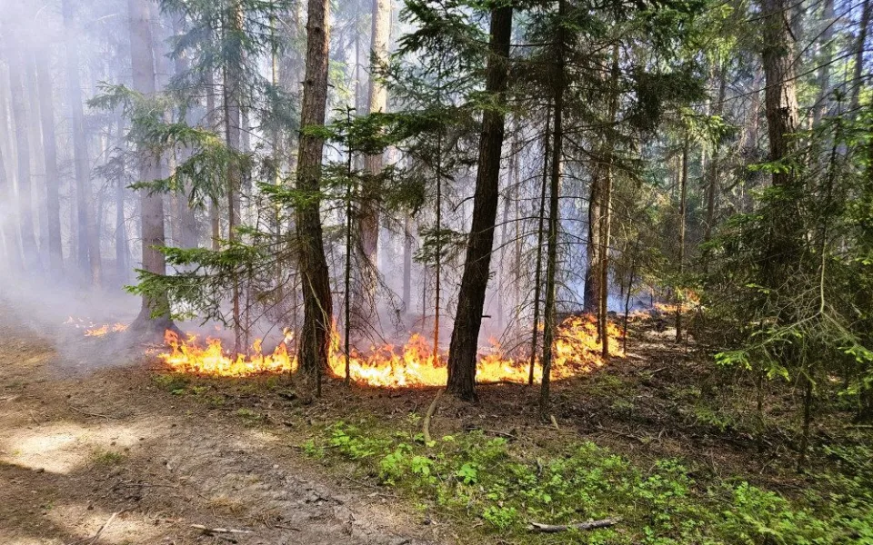 Hasiči řešili požáry a popadané stromy. Filipojakubská noc byla ale klidná