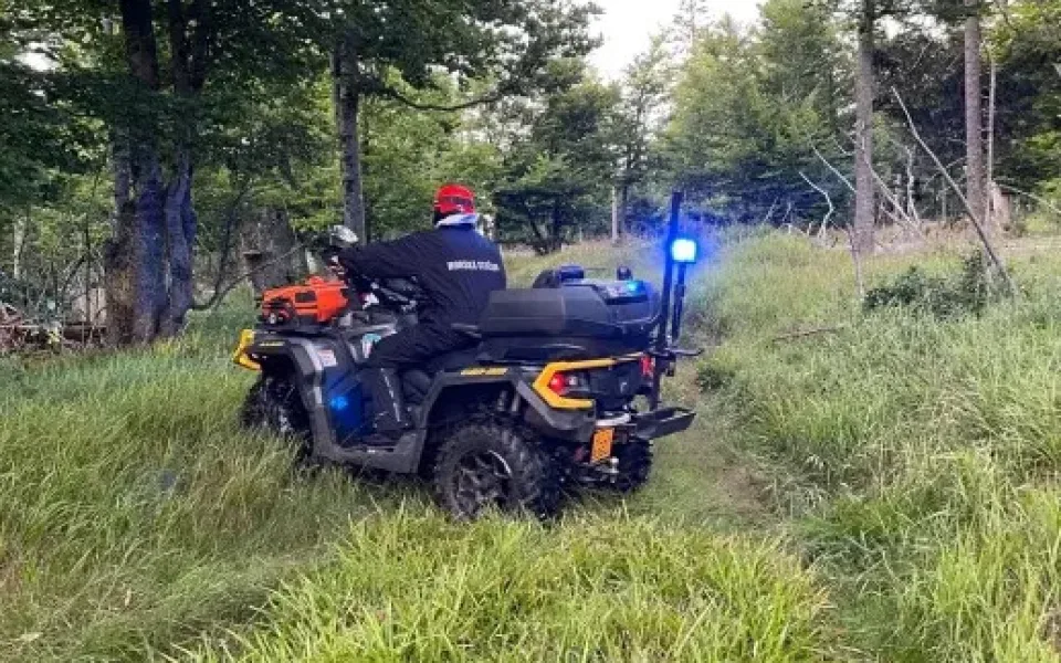 Pátrací akce v šumavských lesích, po pětiletém dítěti pátrali policisté z dvou krajů