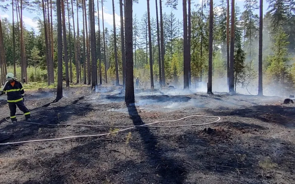 Hasiči zasahovali u několika požárů lesů. Meteorologové prodloužili výstrahu