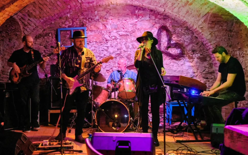 KULTURNÍ TIPY: Zajděte na koncert Mustang Bluesride nebo do Žižkárny na trhy