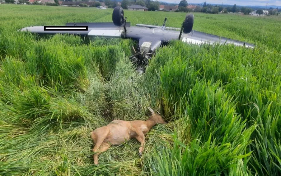 Letecká nehoda u Protivína: při nouzovém přistání srazil pilot srnce