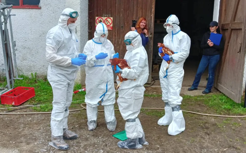 U Boletic cvičila veterinární správa, připravovala se na šíření nebezpečných nákaz