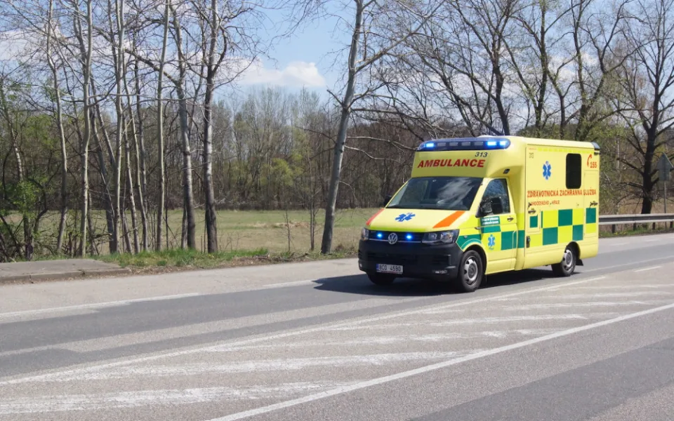 Dva lidé na jihu Čech skončili o víkendu s otravou houbami v nemocnici