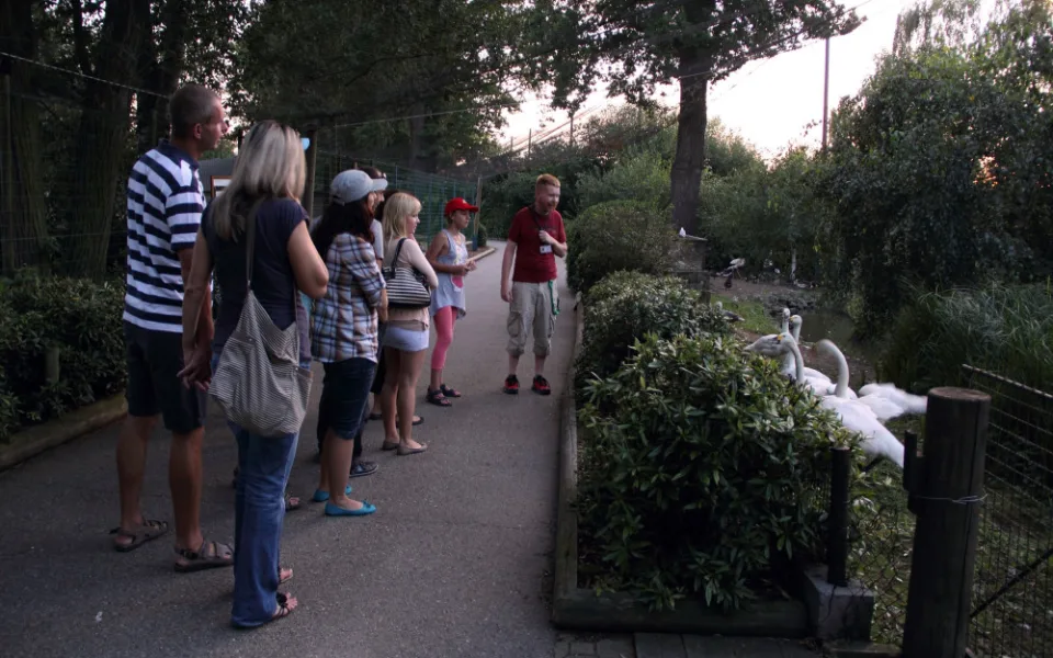 Zažijte večerní komentované prohlídky v Zoo Hluboká