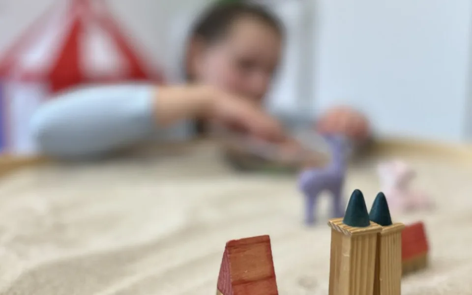 Služby českobudějovického centra pro oběti násilí využilo za rok 84 lidí