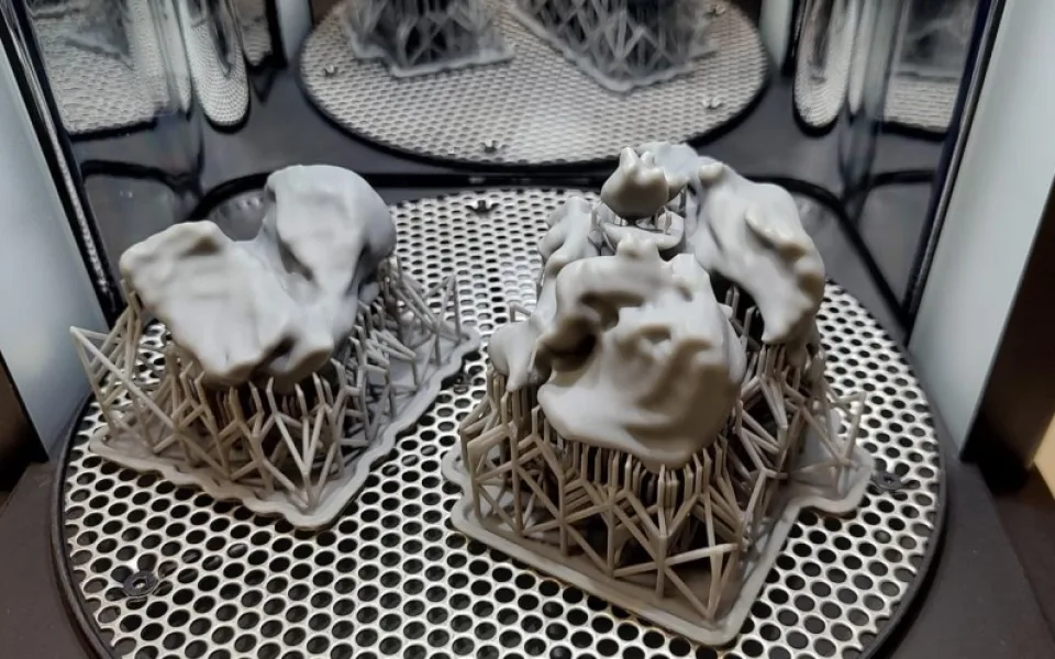 S péčí o pacienty pomáhá v Českých Budějovicích také 3D tisk, pomáhá při výuce či léčbě nádorů a zlomeni