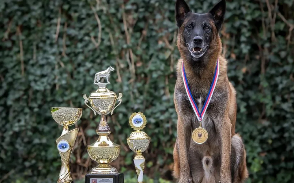V deseti letech jde policejní šampion do důchodu. Button je prostě borec, říká jeho páníček
