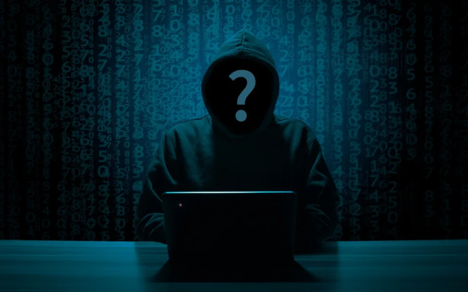 Jihočeští policisté řeší další internetové podvody, důvěřivého muže obrali o 150 tisíc