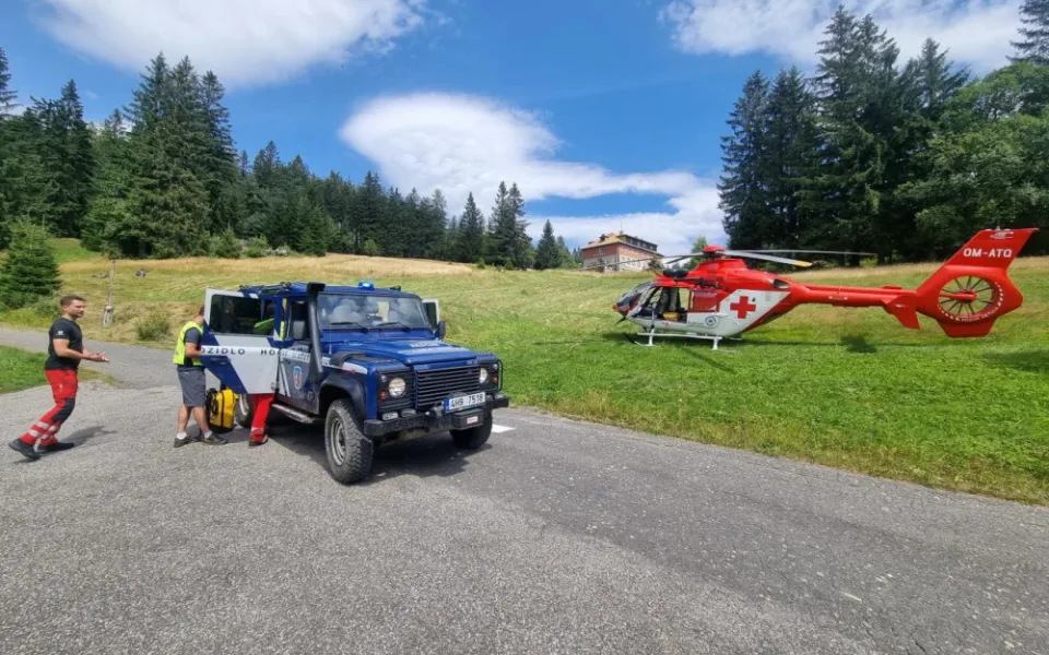Horská služba varuje: V horách přibývá útoků vos a dalšího bodavého hmyzu