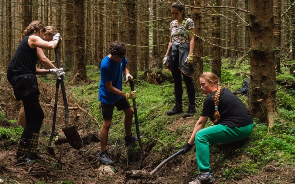 S obnovou rašelinišť v NP Šumava pomůže mezinárodní skupina dobrovolníků