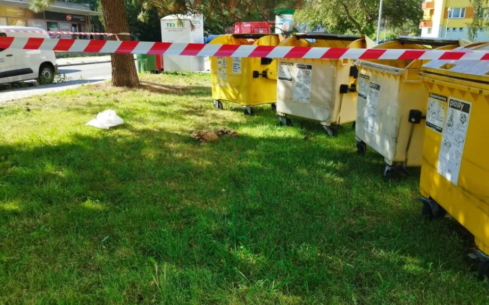 V Písku někdo vyhodil do kontejneru na plast celé včelstvo