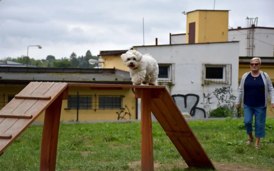 V Písku mají nové psí hřiště, pejskaři na něj čekali celé dva roky