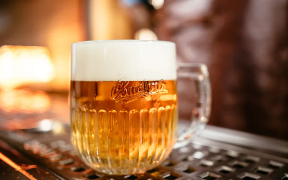 Vláda rozhodne o převodu 550 milionů korun ze zisku Budvaru do státního rozpočtu