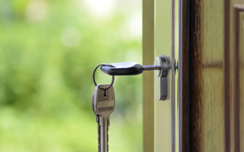 Jak sehnat pronájem bytu se psem: 5 užitečných tipů