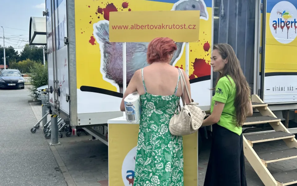 Obránci zvířat upozorňovali na problematický chov kuřat. S „krutokárou“ zastavili i v Budějcích