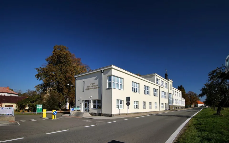 Dětí s psychiatrickou diagnózou v Česku podle odborníků stále přibývá