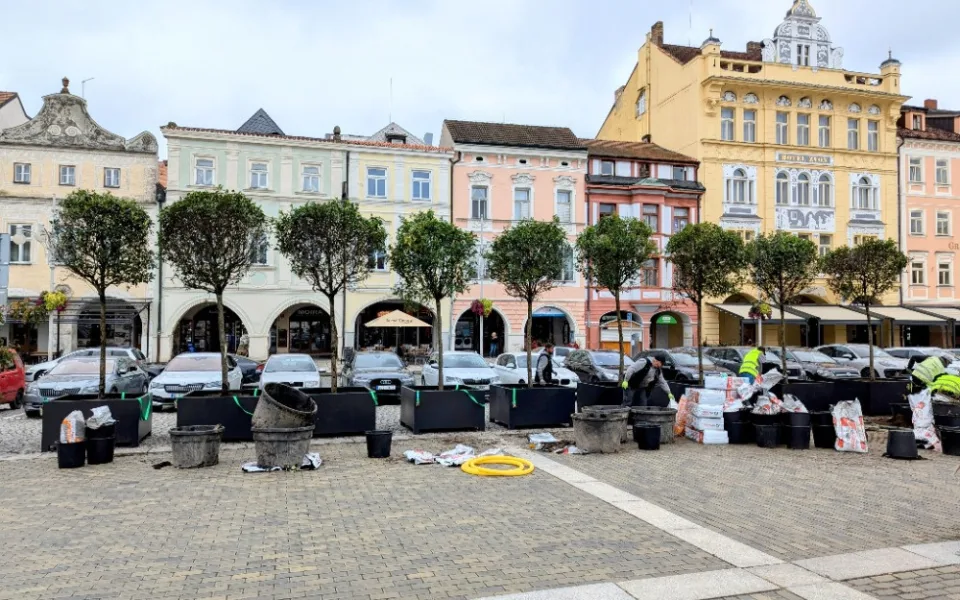 Na náměstí v Českých Budějovicích přibylo dalších devět stromů, časem je doplní i nové lavičky.