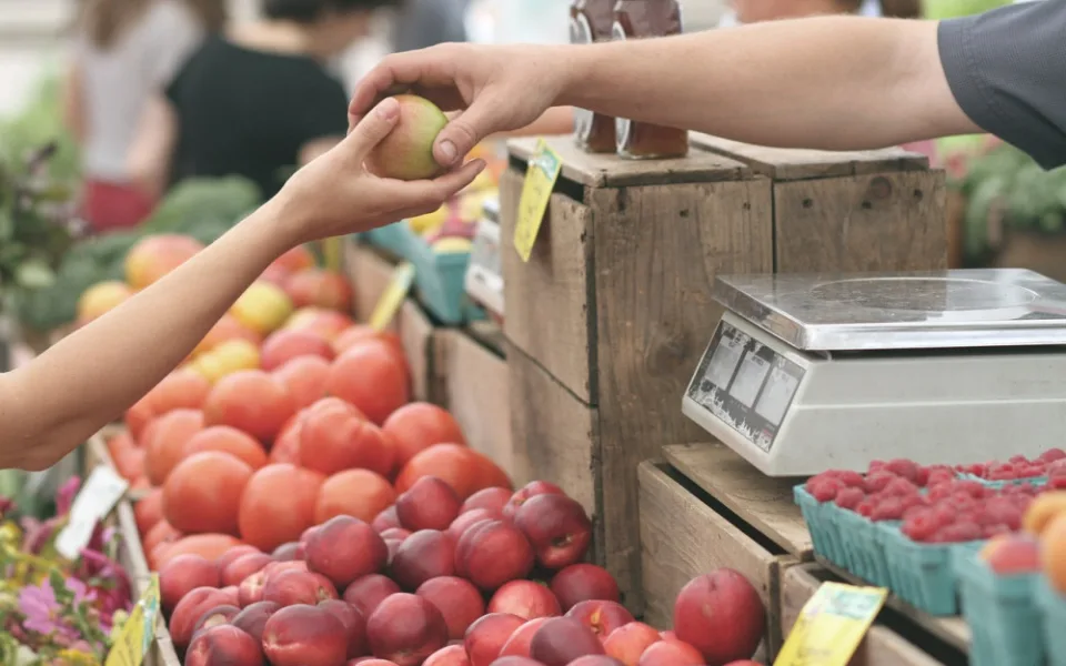 Z celkového objemu supermarkety vyhodí méně než procento potravin, ukazuje anketa