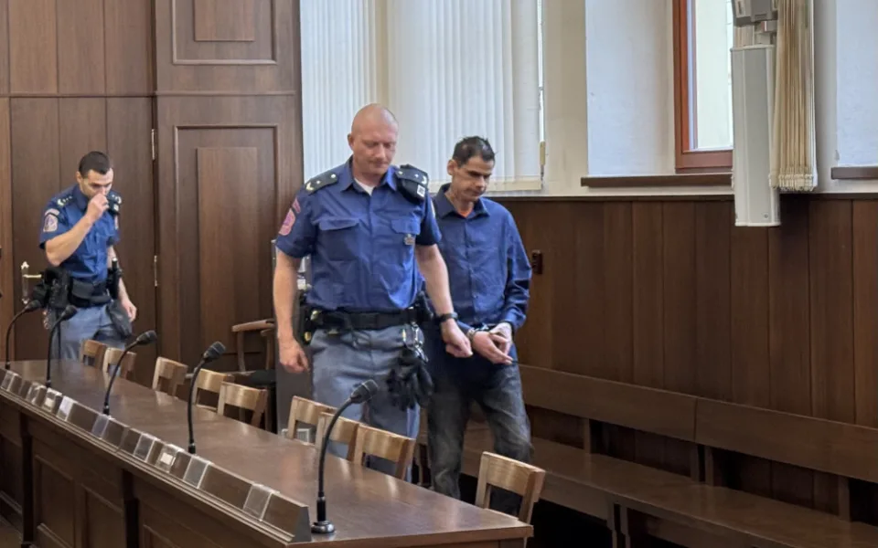 Kdybych jí chtěl zabít, řešil bych to jinak. Za vraždu ženy v Dolním Dvořišti dostal recidivista 18 let vězení
