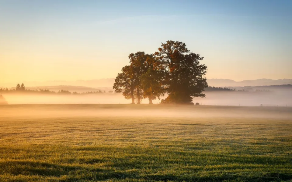 Závěr týdne bude slunečný s teplotami kolem 15°C, ráno se místy objeví mlhy