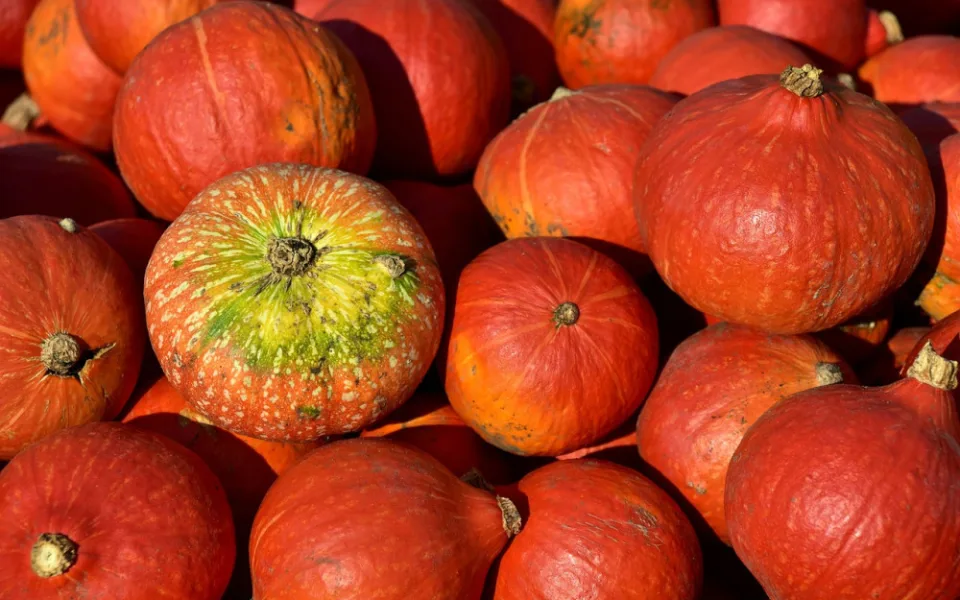 Užijte si dýňovou sezonu i doma. Připravte si jednoduchý dezert nebo aromatický Pumpkin Chai