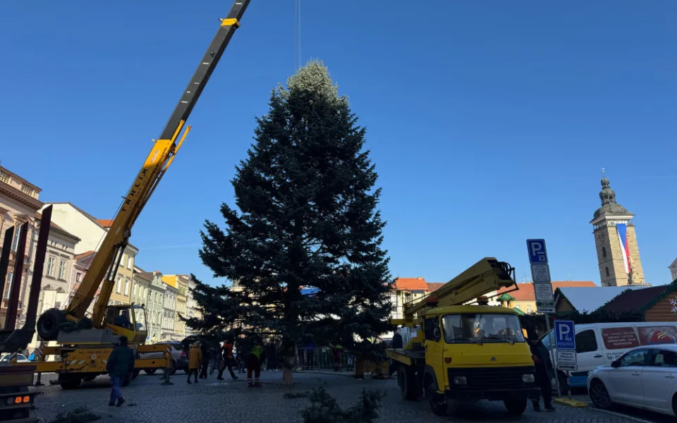 Náměstí Přemysla Otakara II. zdobí od soboty vánoční strom. Do Budějc ho přivezli z Neznašova