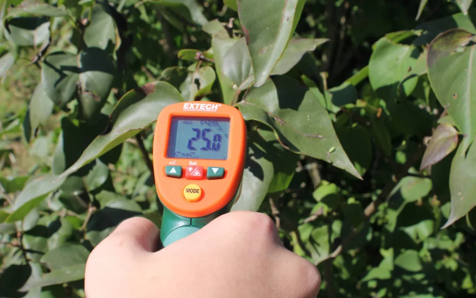 Vzdělávání o vegetaci je nástrojem v boji proti klimatické změně