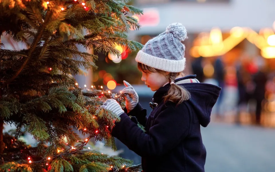 Copyright (c) 2024 Irina Wilhauk/Shutterstock.  No use without permission.