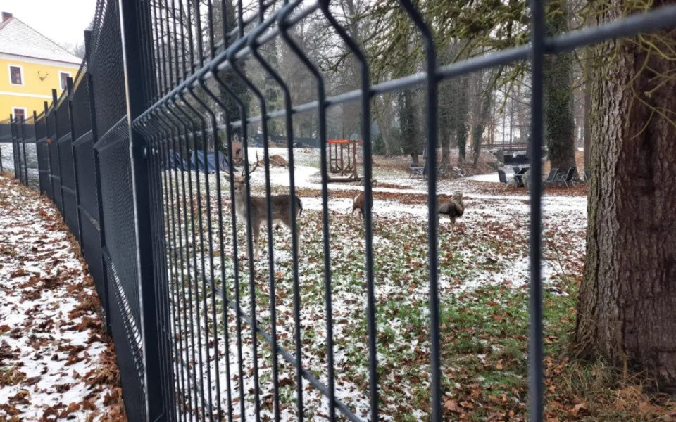 Skládka mrtvých zvířat a šikanování zaměstnanců. U zámku v Chlumu u Třeboně zasahovala policie