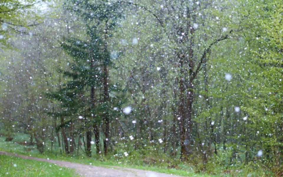 O víkendu dorazí oteplení a obleva, přesto hrozí mrznoucí mlhy a déšť