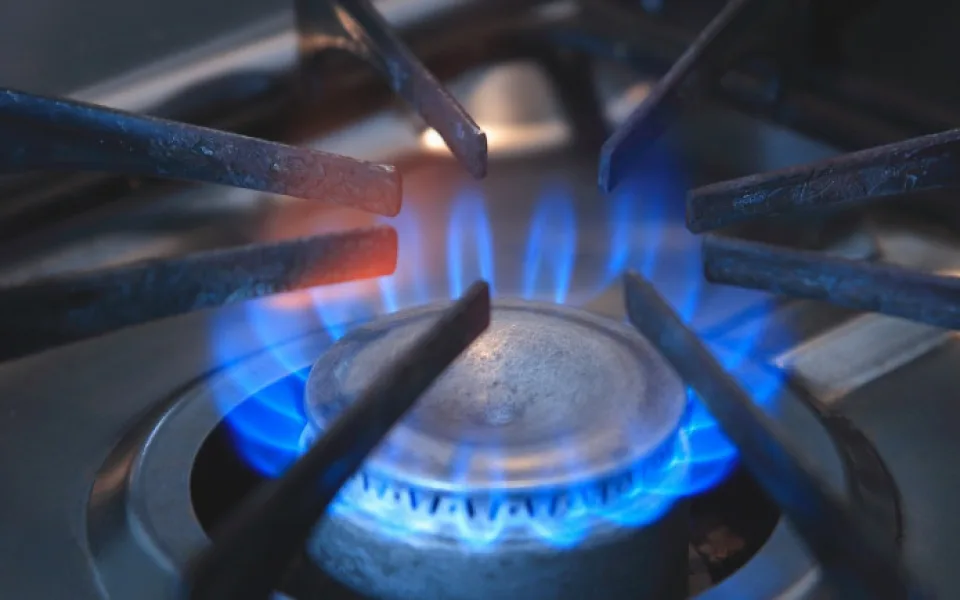 E.ON rozdělil dodávky, Gas Distribution převzala plyn v jižních Čechách
