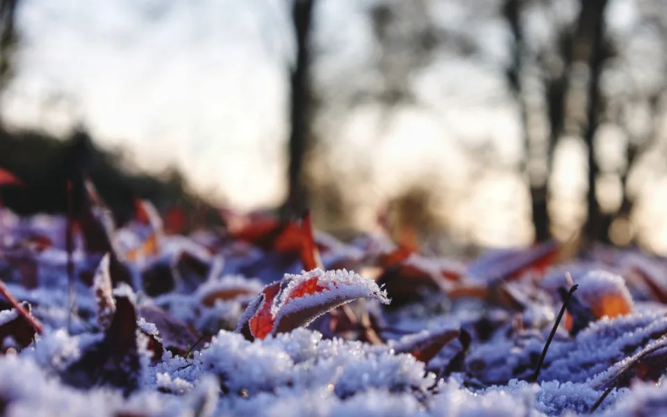 Tento týden bude přes den nejvýše 6°C nad nulou, v noci až -9