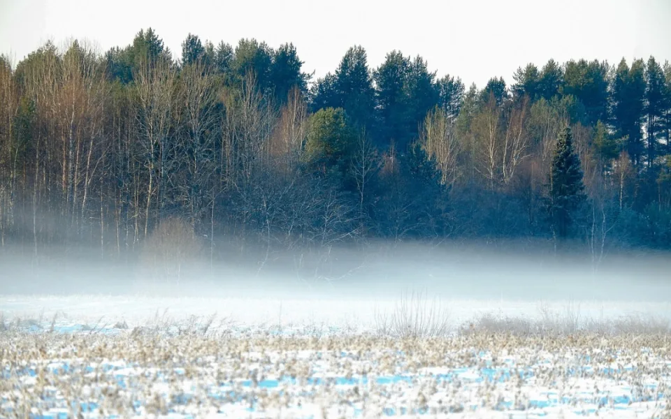 O víkendu bude v Česku sníh a mráz, v noci může být až -13°C