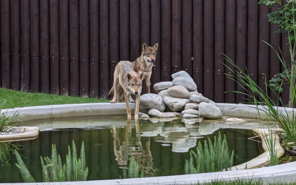 Záchranným centrem v táborské zoo za necelý rok provozu prošlo devět zvířat