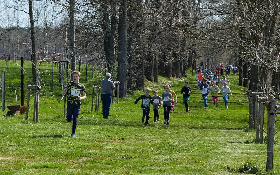 Safari RUN nabídne běh mezi zvířaty i vystoupení známých umělců
