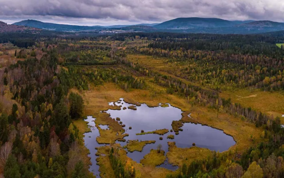 Šumava vysychá. Půda praská a Teplá Vltava zůstává bez lodí