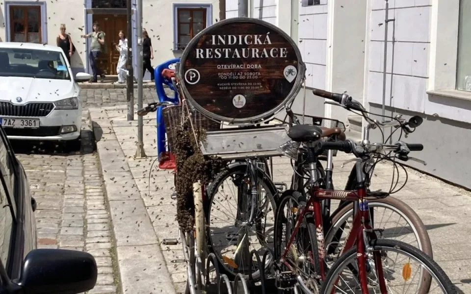 V centru Budějc se usadil roj včel. Likvidovat ho museli hasiči