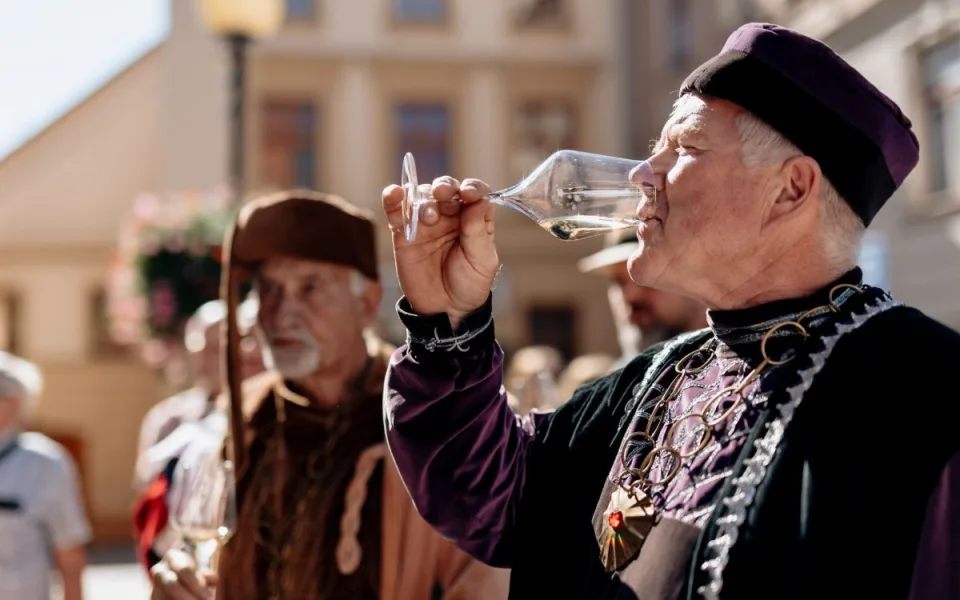 Znojemské historické vinobraní 2025: Když se víno potká s historií