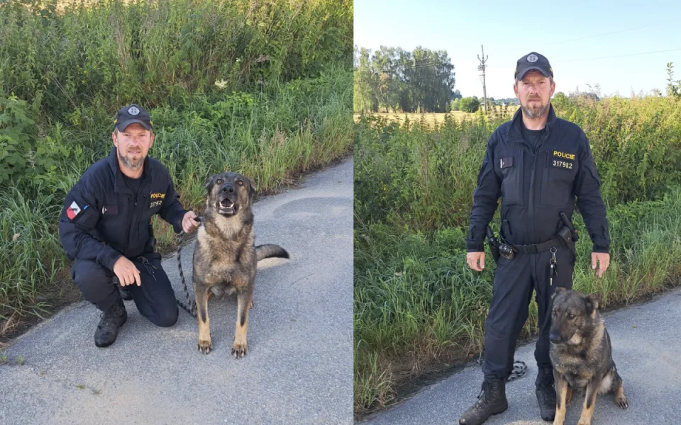 Rodina pohřešovala muže, hrozilo, že si ublíží. Vypátral ho policejní pes
