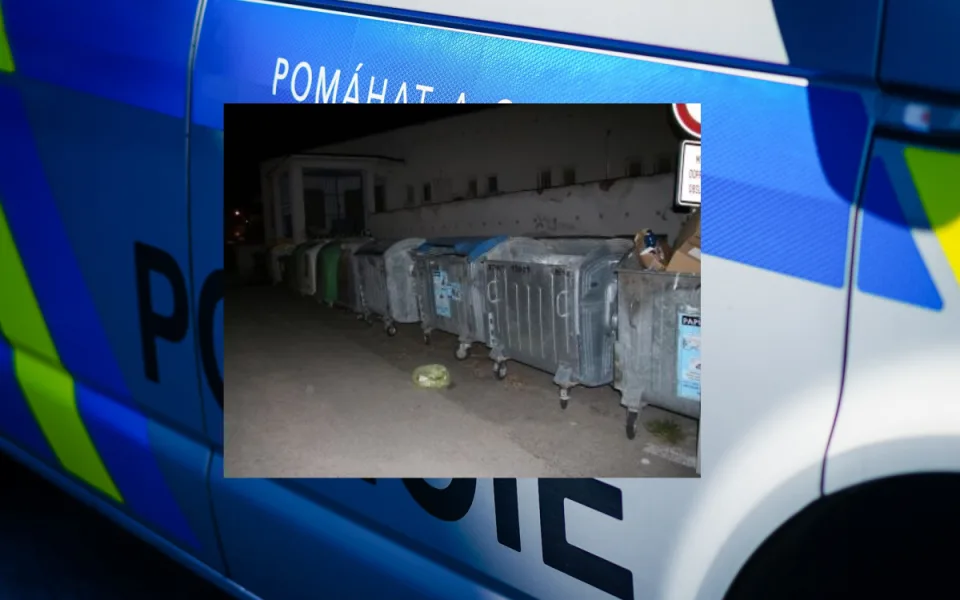 Do kontejneru někdo odhodil v pytli dvě koťata. Obě zemřela, policie hledá pachatele