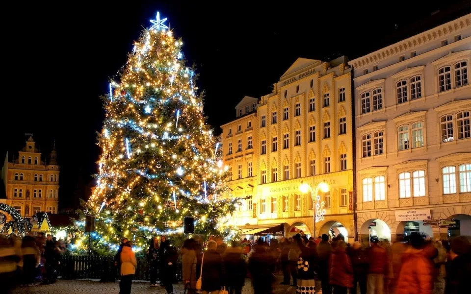 Z vánočního stromu vzniknou umělecká díla. O jejich podobě rozhodne veřejnost