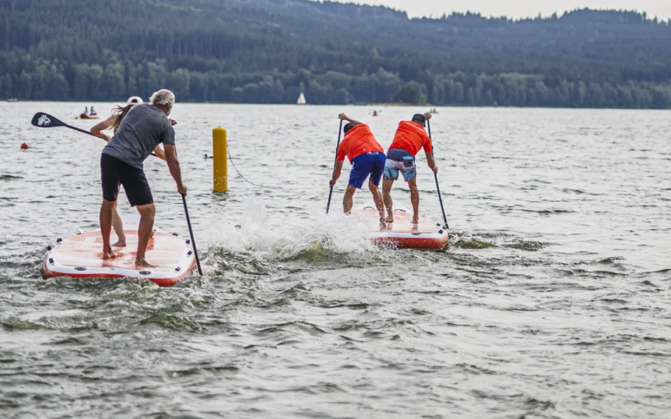 KULTURNÍ TIPY: Zajděte na slavnosti dřeva, setkání loutek nebo za sportem na Lipno