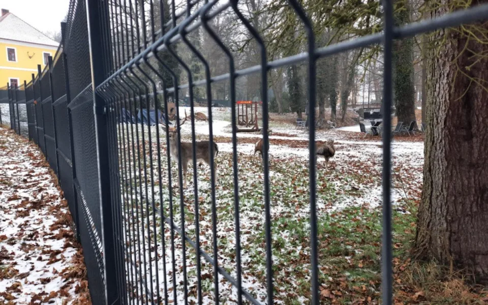 Policie uzavřela případ uhynulých zvířat v zámeckém parku. Trestný čin nepotvrdila